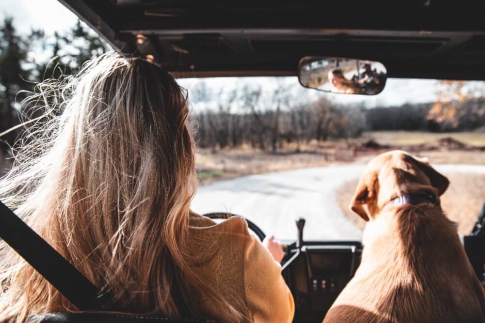 top distractions drivers